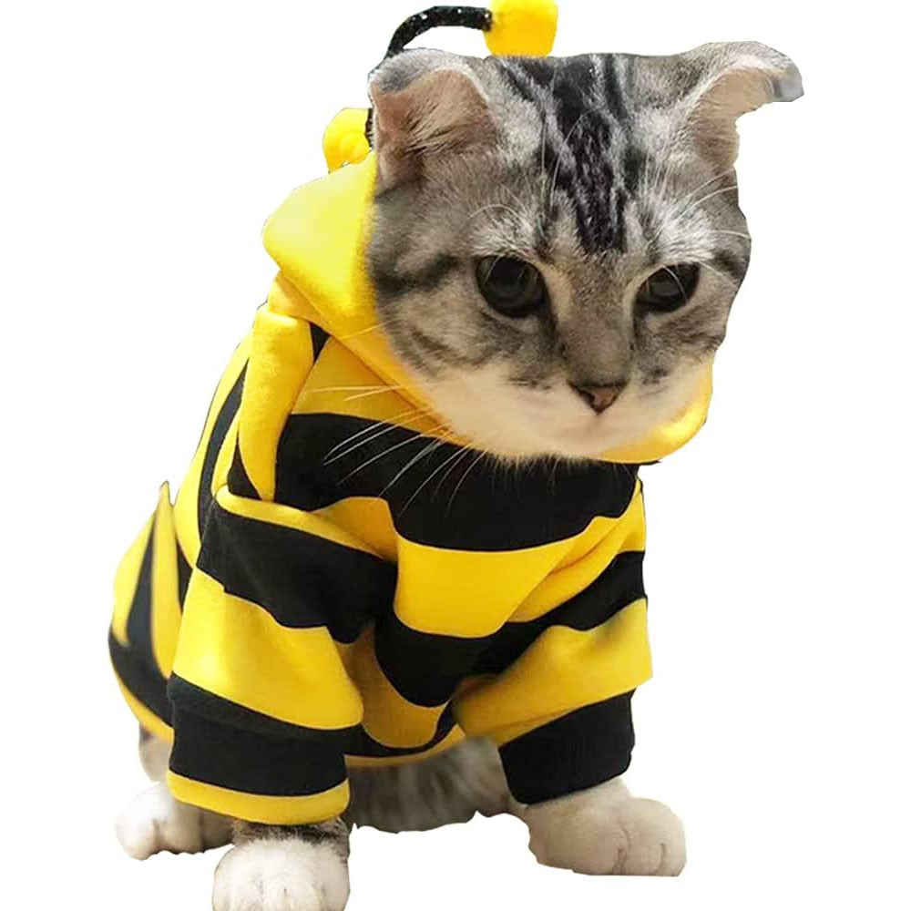 Cat in 2025 a bee costume