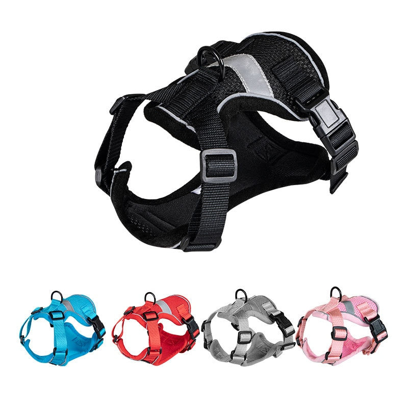 Bengal Cat Harness - cat harness leash