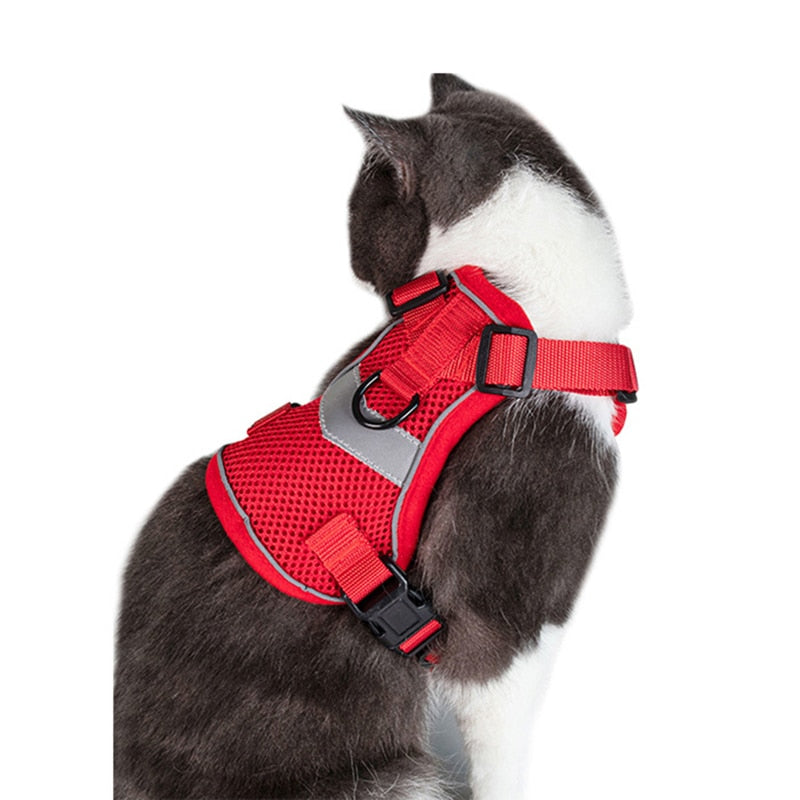 Bengal Cat Harness - cat harness leash