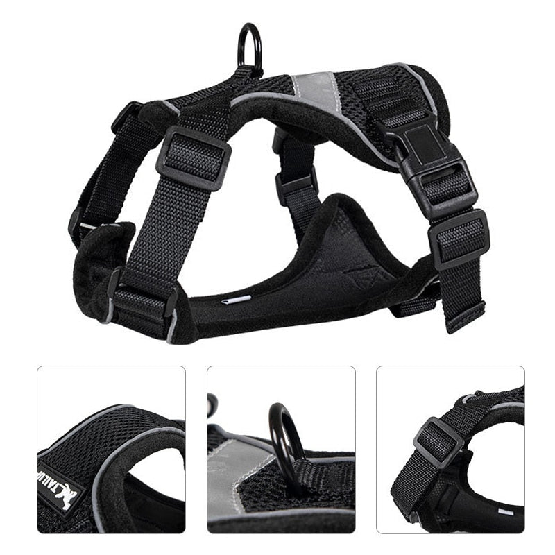 Bengal Cat Harness - cat harness leash