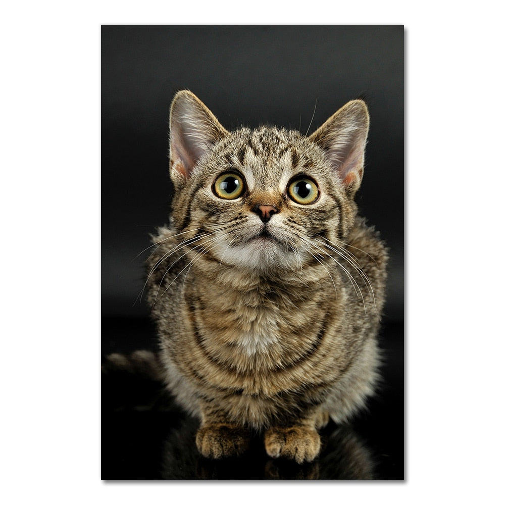 Big Cat Posters - 20x30cm No Frame / Pleasing Colored - Cat