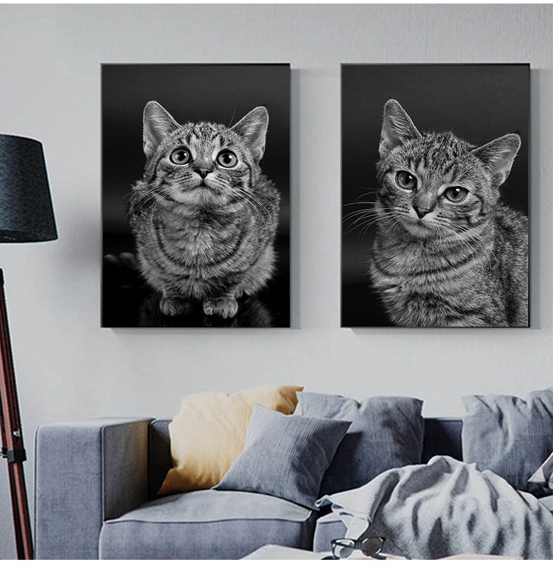 Big Cat Posters - Cat poster