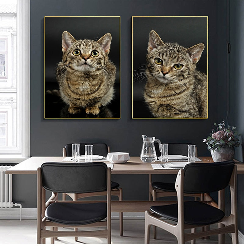 Big Cat Posters - Cat poster