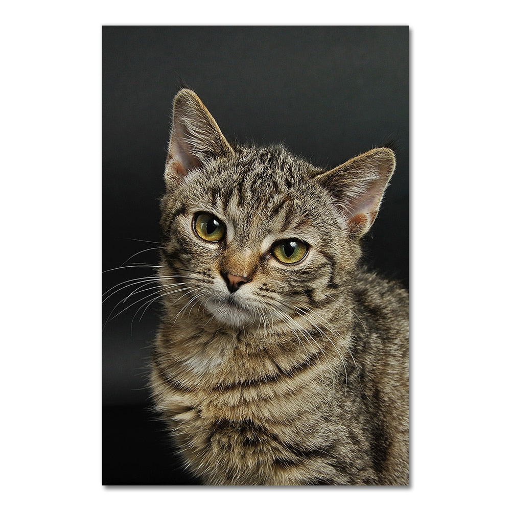 Big Cat Posters - 20x30cm No Frame / Pleasing - Cat poster