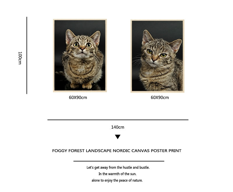 Big Cat Posters - Cat poster