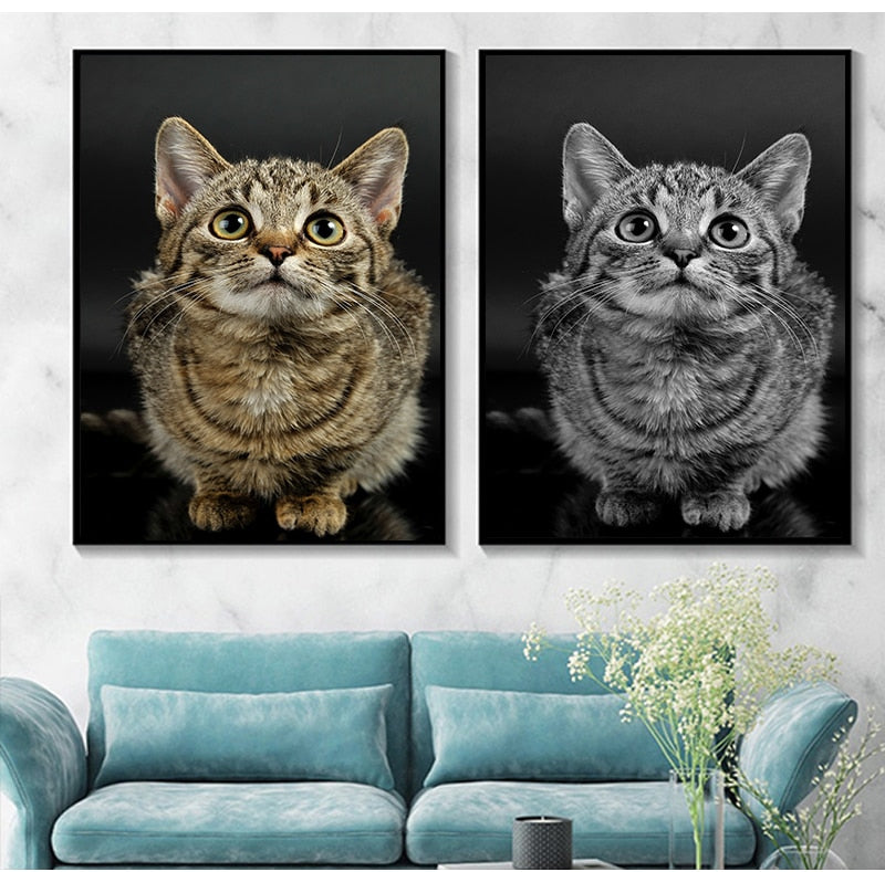 Big Cat Posters - Cat poster
