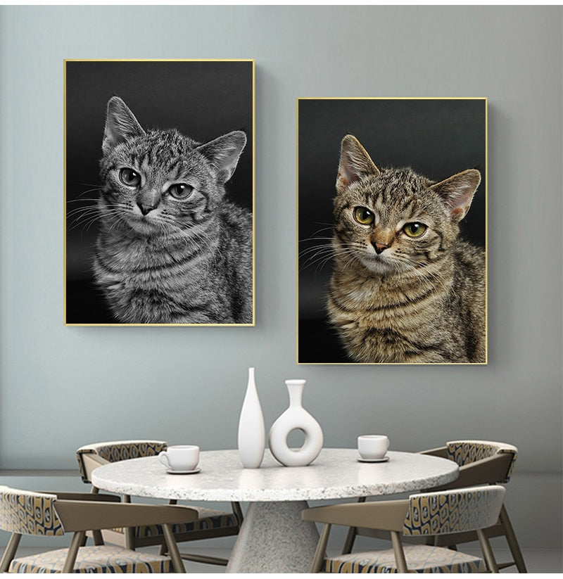 Big Cat Posters - Cat poster