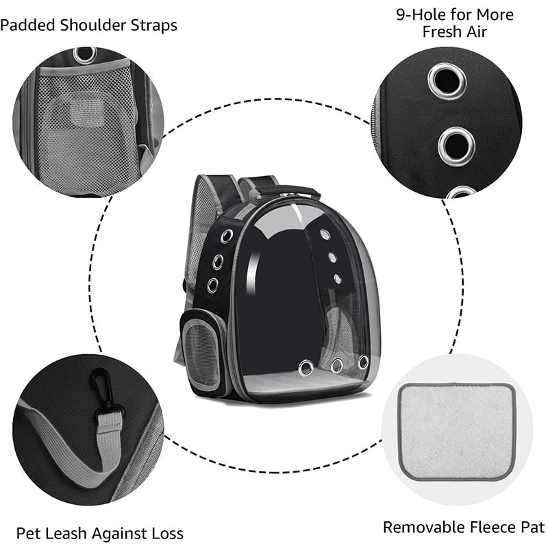 Black Cat Backpack - Black Cat Backpack