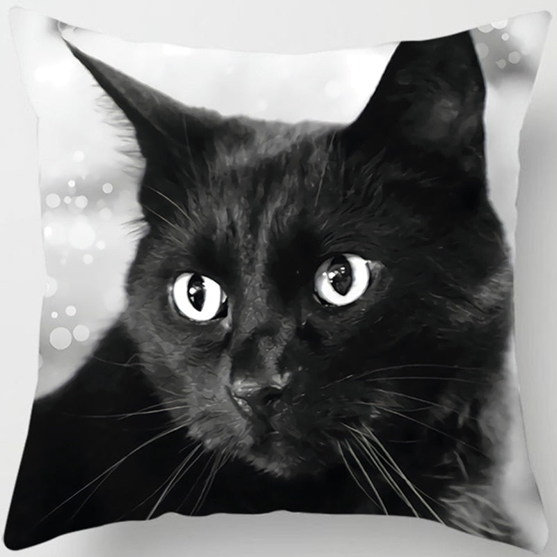 Black Cat Pillow - Yellow Eyes / 40x40cm