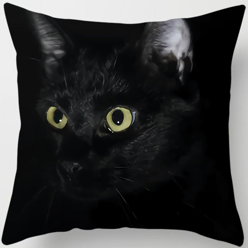 Black Cat Pillow - Angry / 40x40cm