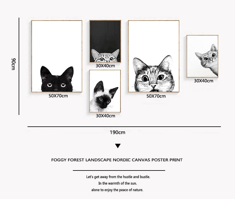 Black Cat Posters and Prints - Cat poster