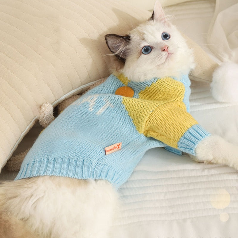 Blue Clothes for Cats - Clothes for cats