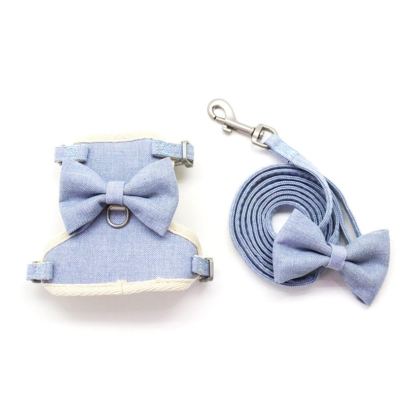 Bow Cat Collar and Leash - Sky Blue / S - cat harness leash