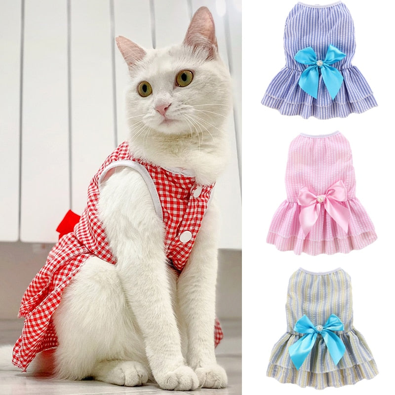 Bow Cat Dress