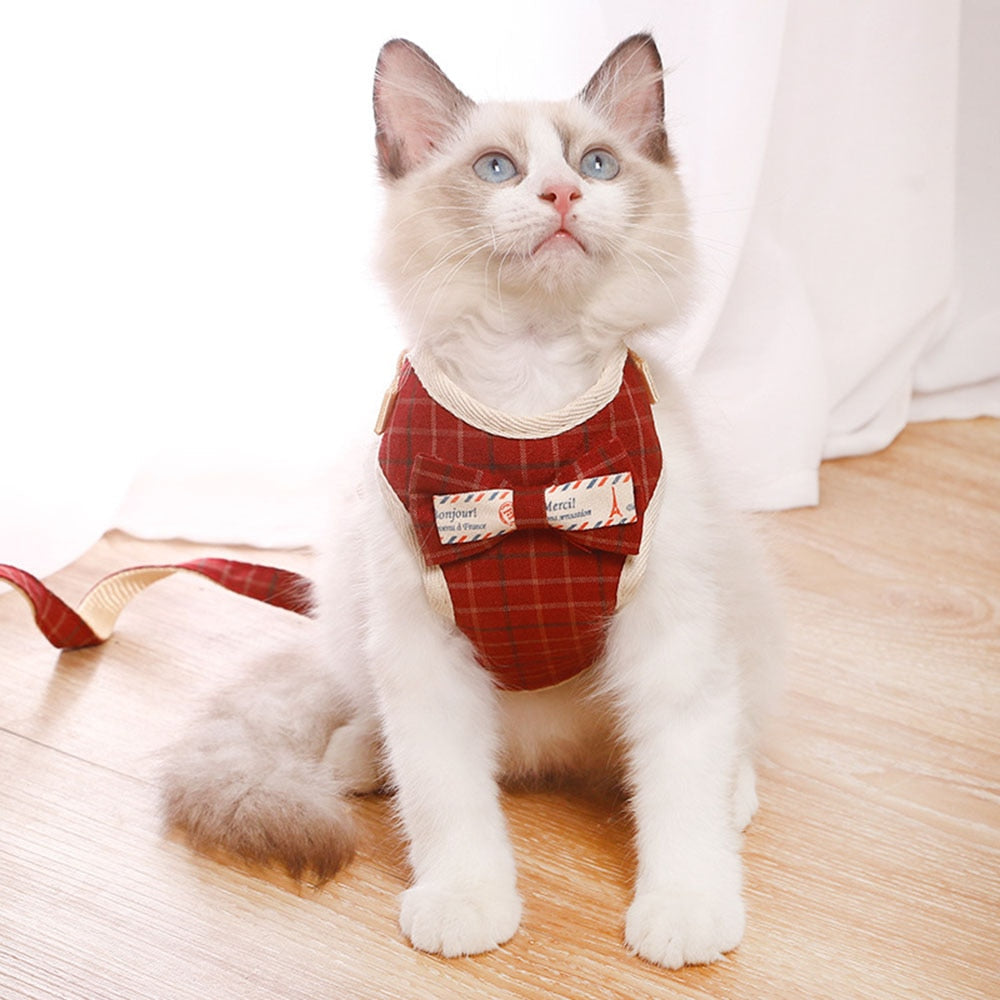 Bowknot Cat Harnesses - cat harness leash