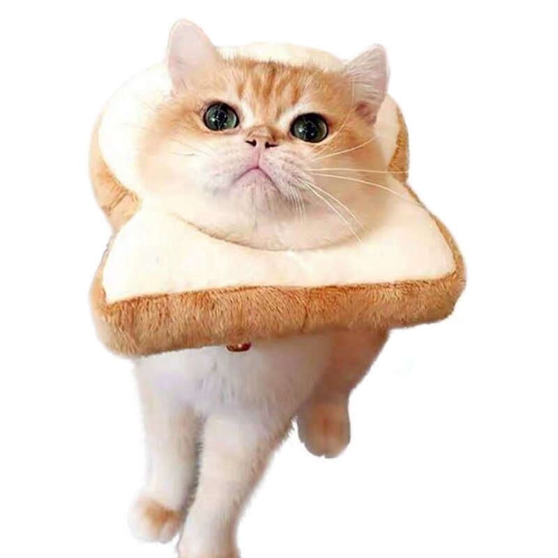 Bread Costume for Cat - White / M / United States