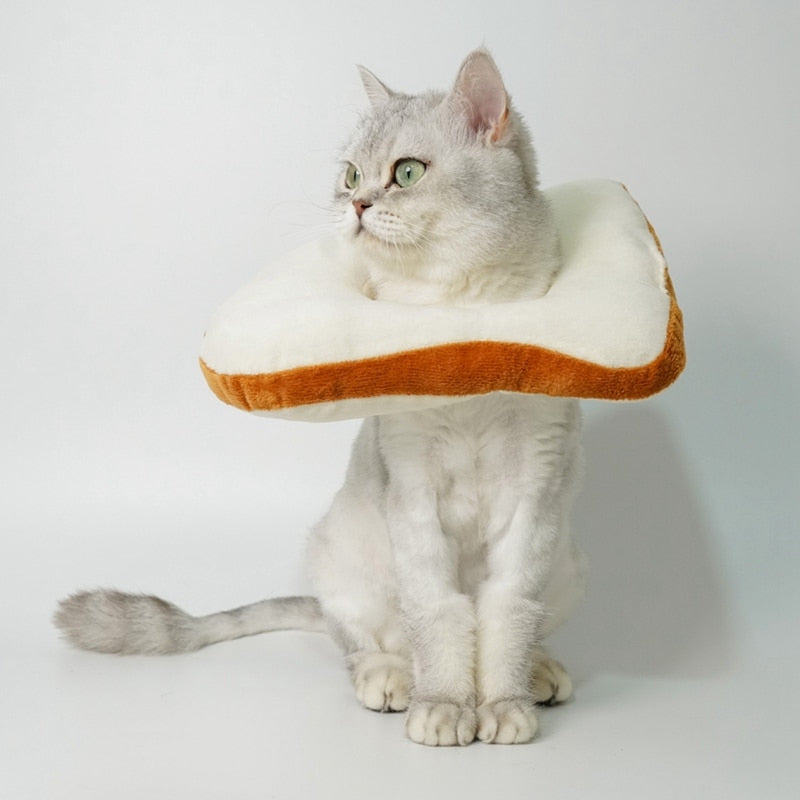 Bread Costume for Cat - White / M / United States