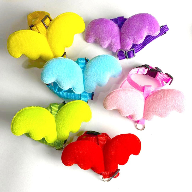 Butterfly Cat Harness - cat harness leash