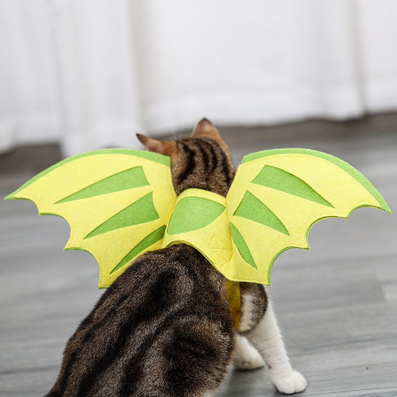 Butterfly Costume for Cat