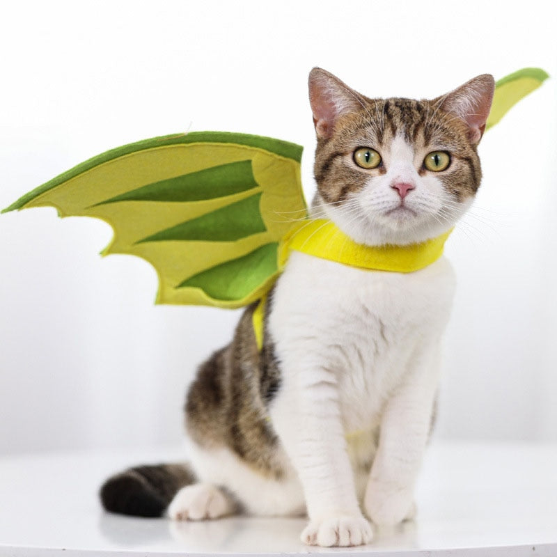Butterfly Costume for Cat
