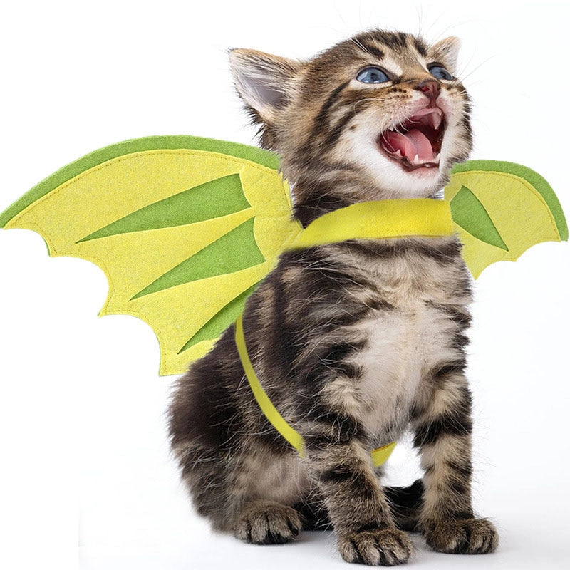 Butterfly Costume for Cat