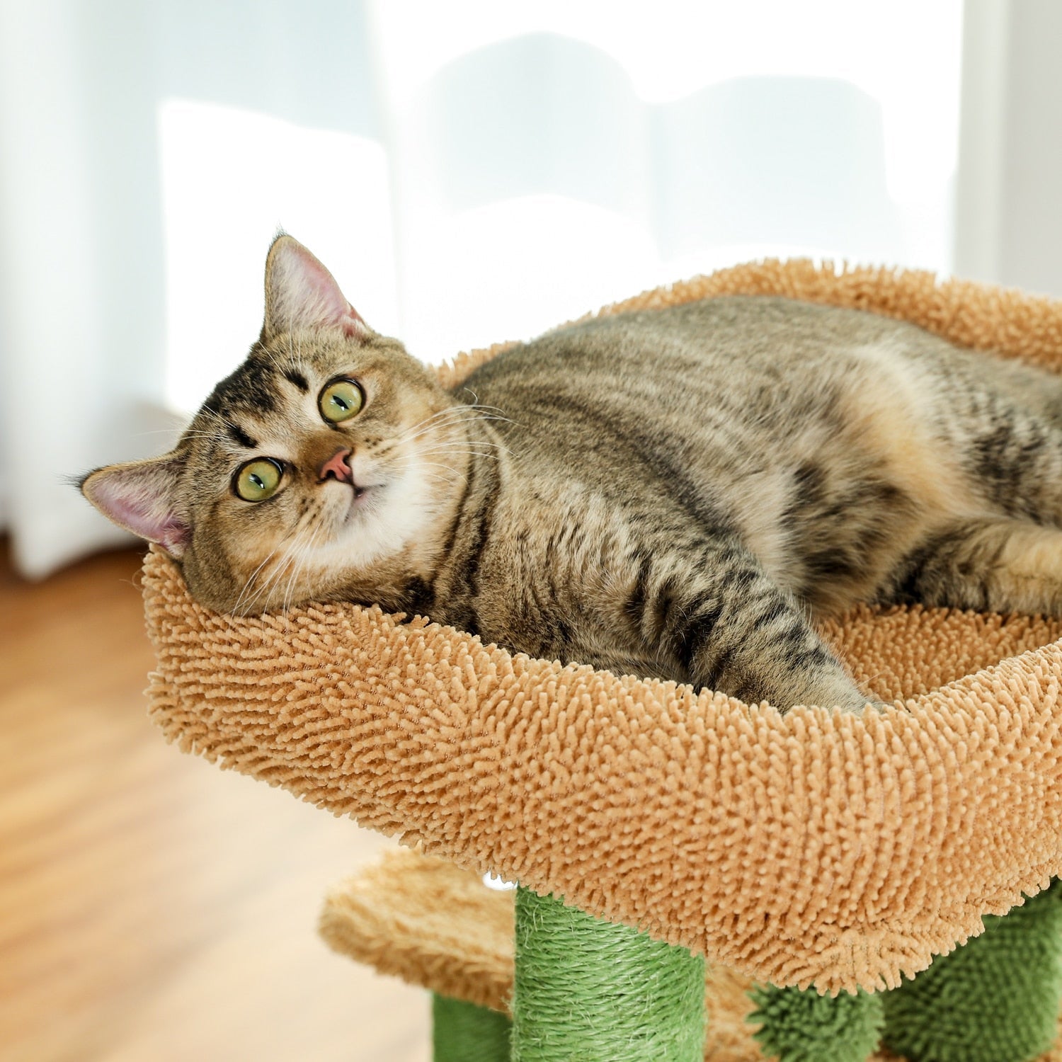 Cactus Cat Tree - Green / United States
