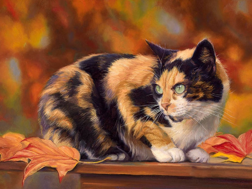 Calico Cat Diamond Painting - Orange / 30x40cm-Round Drill