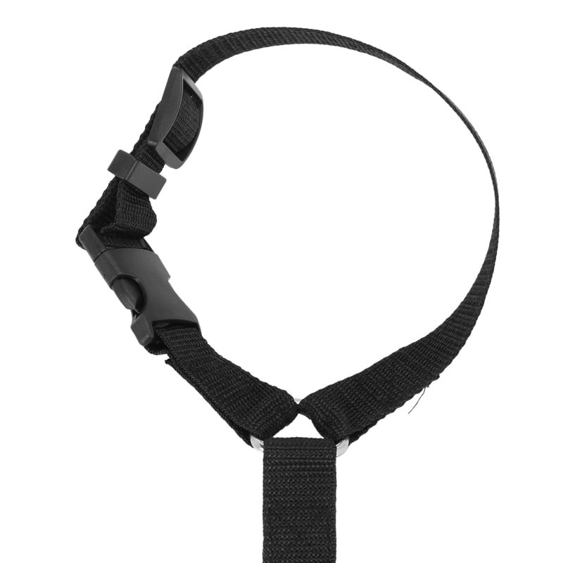 Car Cat Harness - cat harness leash