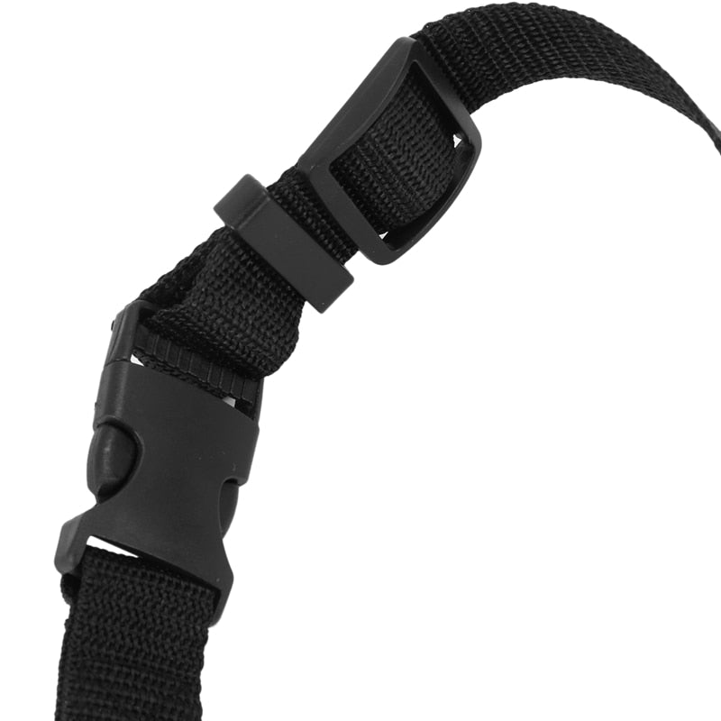 Car Cat Harness - cat harness leash