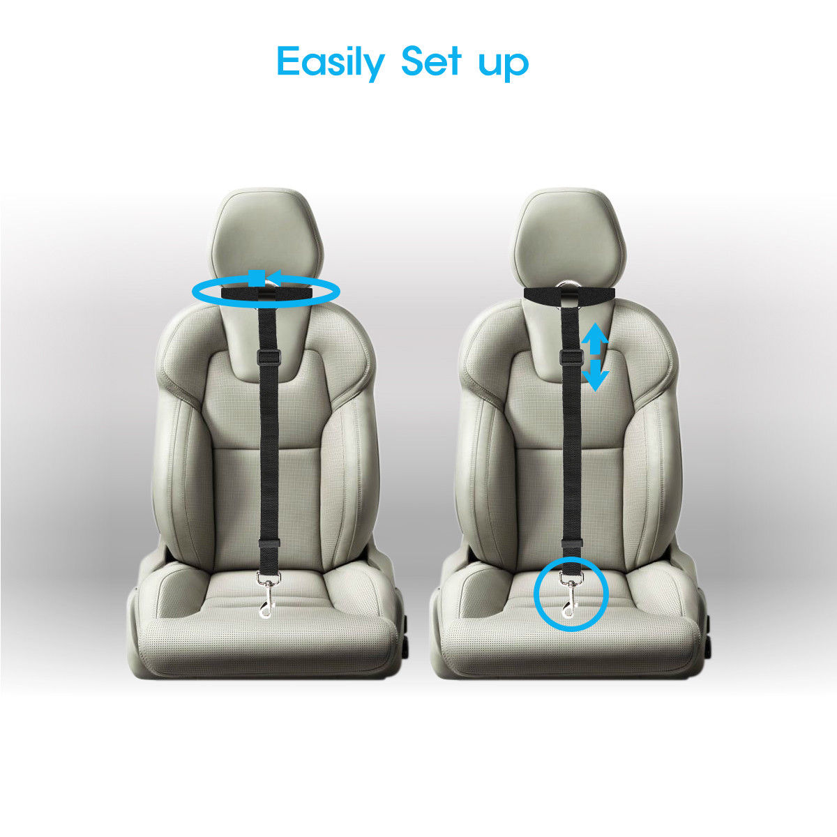 Car Cat Harness - cat harness leash