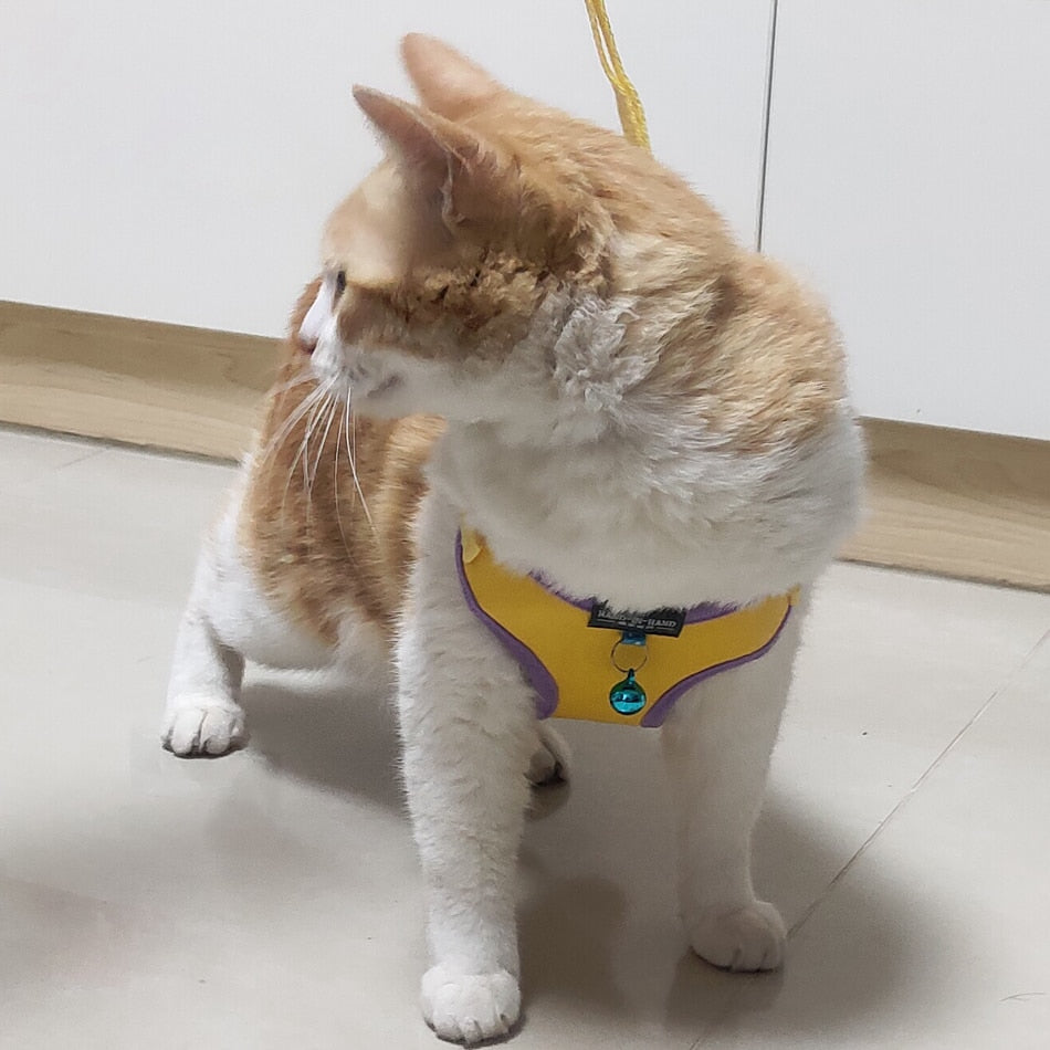 Cat Bell Walk Harness - cat harness leash