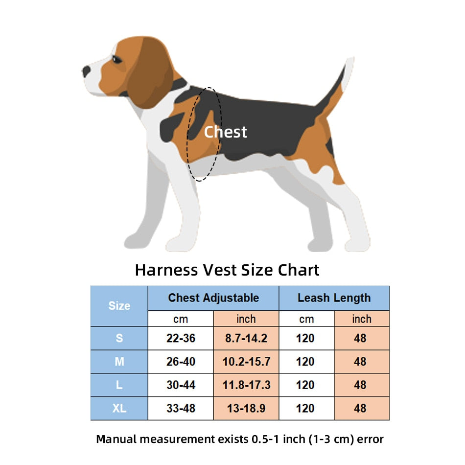 Cat Bell Walk Harness - cat harness leash