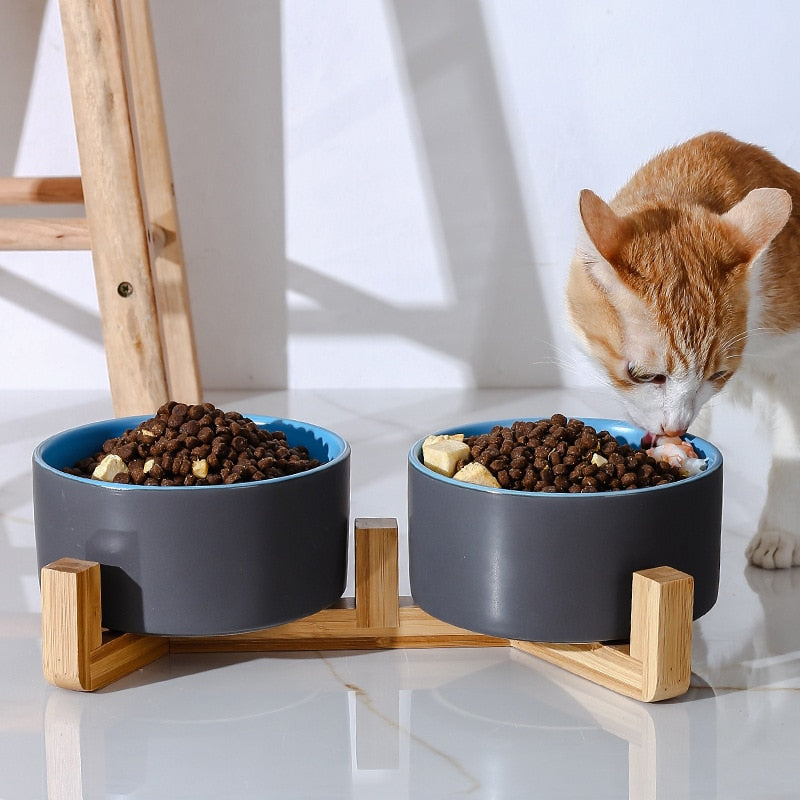 Cat Bowl Stand - Cat Bowls