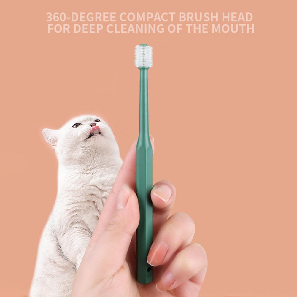 Cat Brushing Teeth