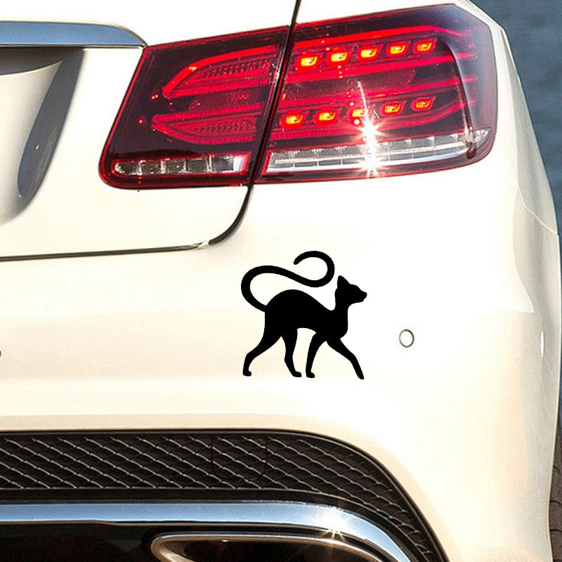 Cat Bumper Stickers