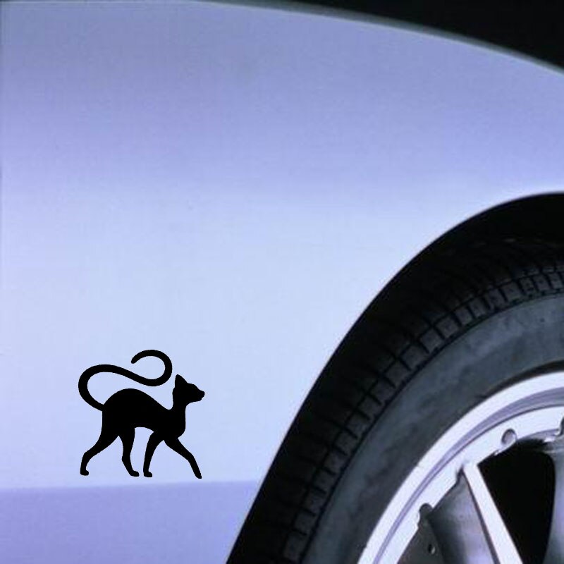 Cat Bumper Stickers
