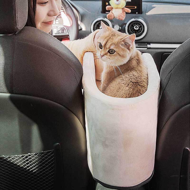Cat Car Bed