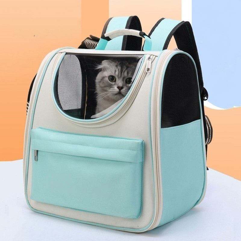 Blue clearance cat backpack