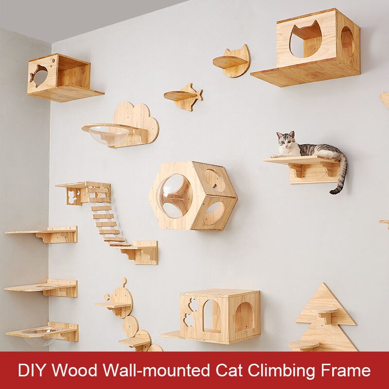 Cat Climbing Wall Platform