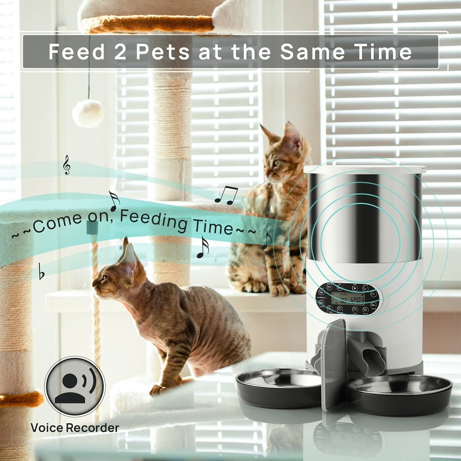 Cat Dry Food Dispenser - Cat Food Dispenser