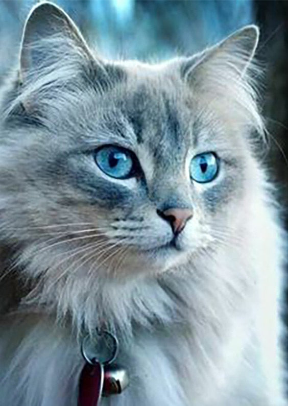 Cat Face Diamond Painting - Blue / Square Drill 20X30cm