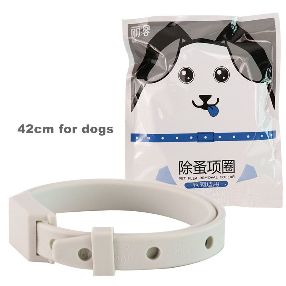 Cat Flea Collar - 42cm - Cat collars