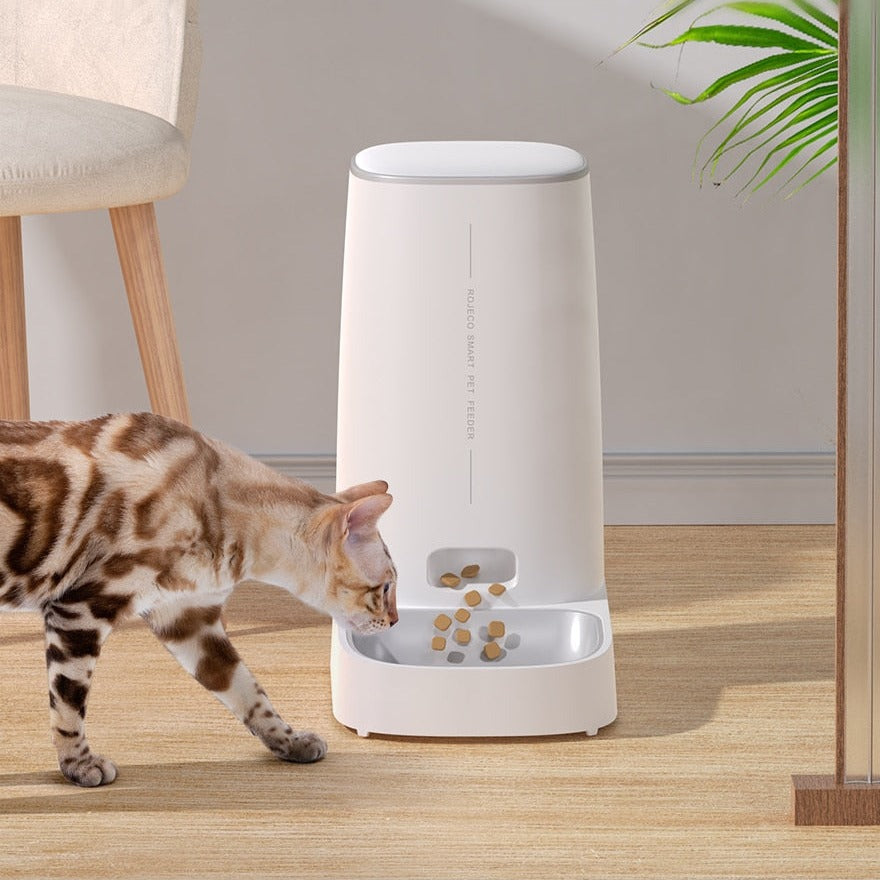 Cat Food Automatic Dispenser - automatic cat food dispenser