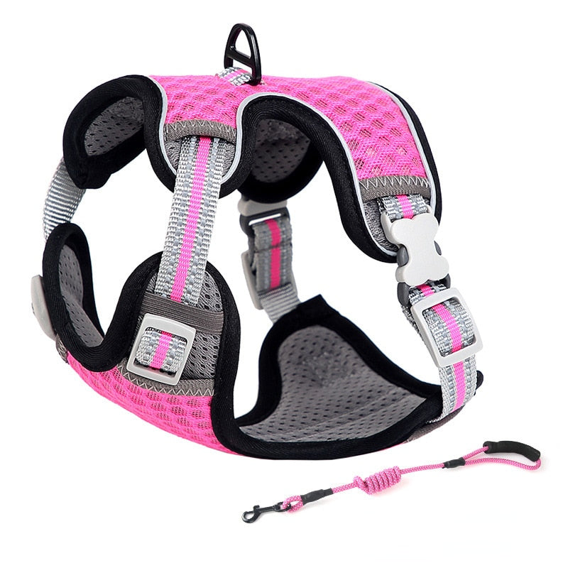 Cat Full Body Harness - Violet / XS - cat harness leash
