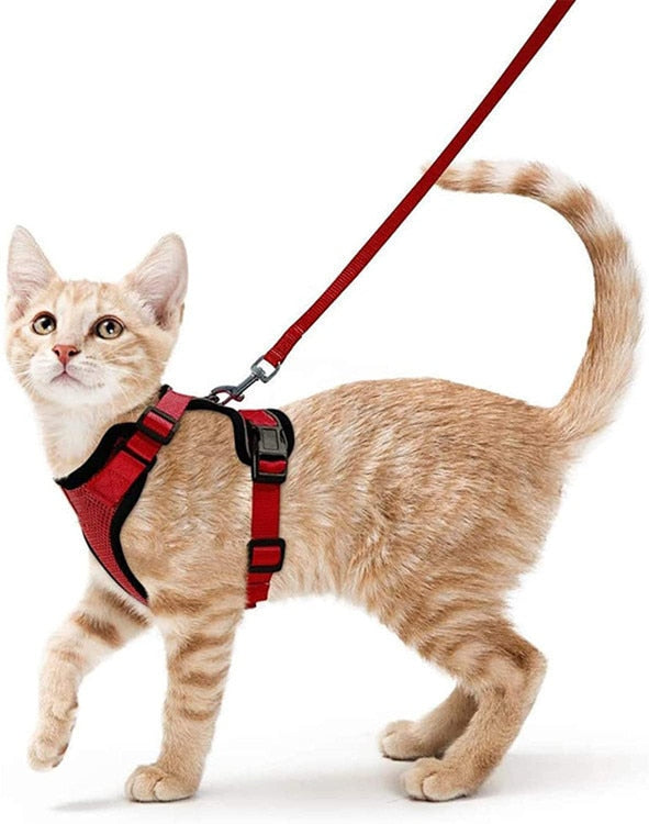 Cat Harness and Leash - Red / XS - cat harness leash