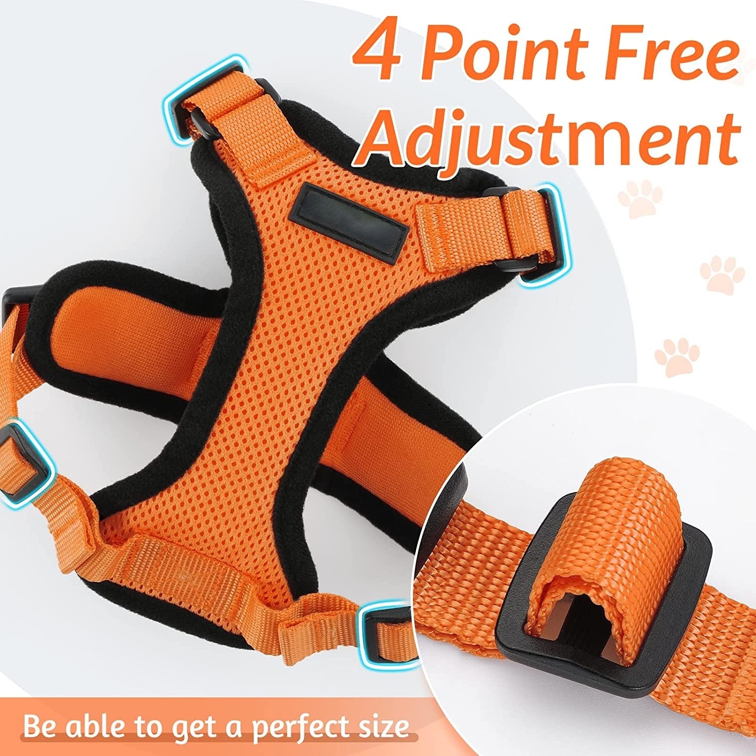 Cat Harness and Leash - cat harness leash
