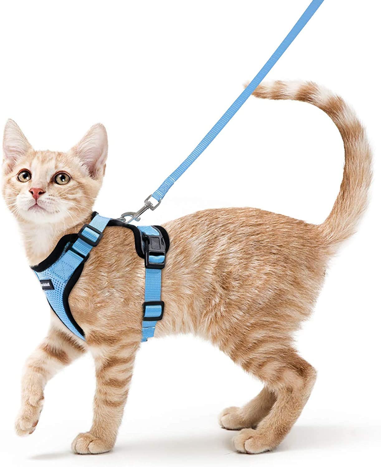 Cat Harness and Leash - Navy Blue / XS - cat harness leash