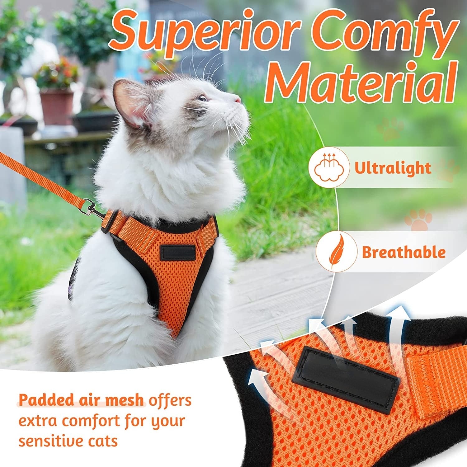 Cat Harness and Leash - cat harness leash