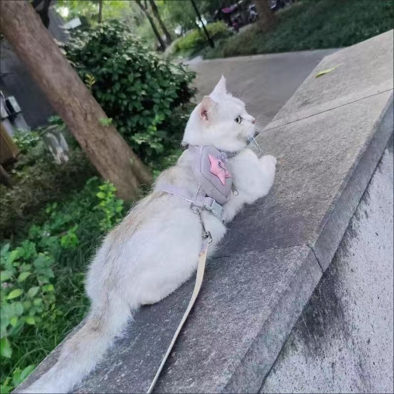 Cat Harness Leash with Backpack - cat harness leash