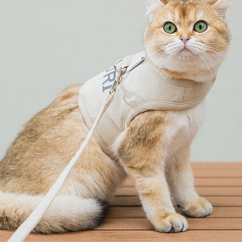 Cat Harness Velcro - cat harness leash